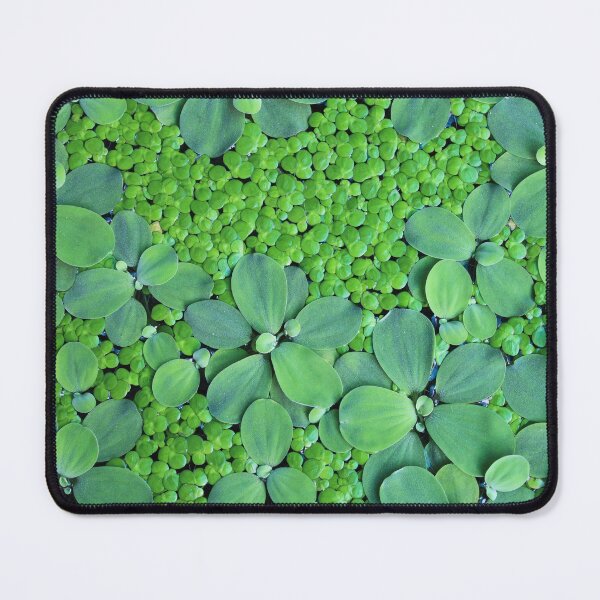 Item preview, Water plant designed and sold by BattaAnastasia.