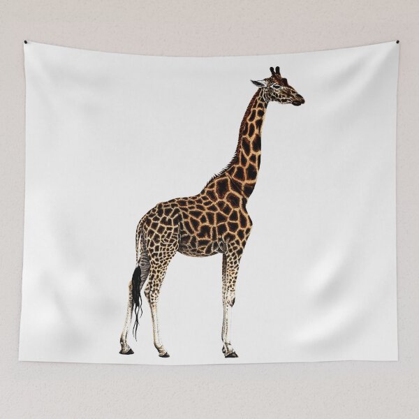 Item preview, Giraffe colour drawing designed and sold by LorenDowding.