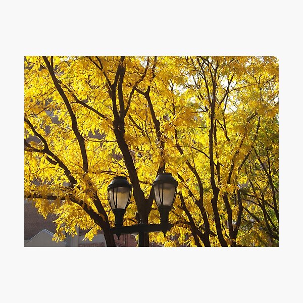 Item preview, Autumn Colors, Market Street, Philadelphia, Pennsylvania designed and sold by lenspiro.