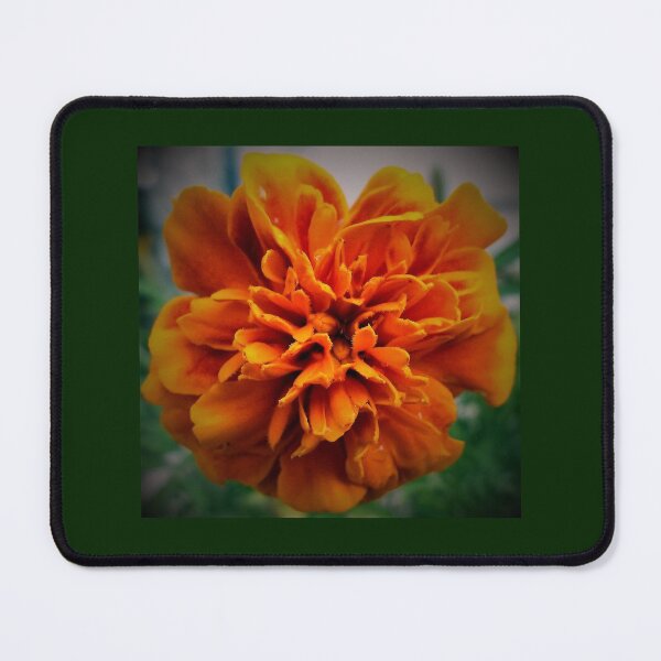 Item preview, Orange Marigold designed and sold by Scott and Mary Schneider art_photography.
