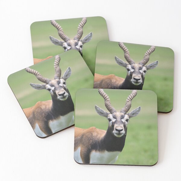 Item preview, Antelope designed and sold by Mdillon.