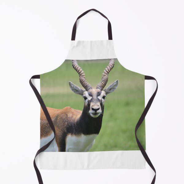 Item preview, Antelope designed and sold by Mdillon.