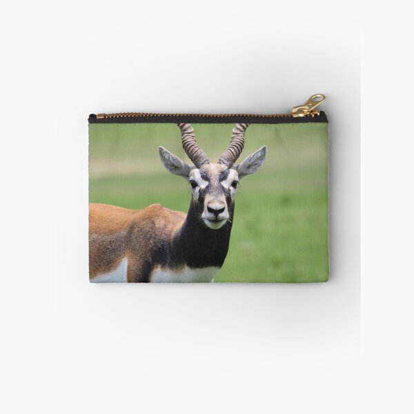 Item preview, Antelope designed and sold by Mdillon.