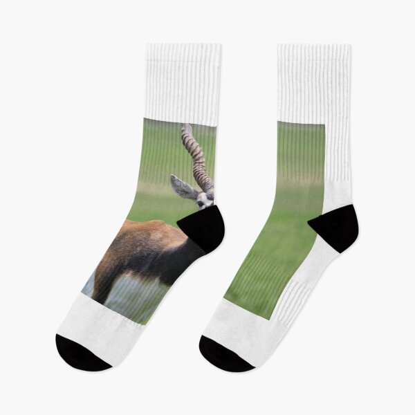 Item preview, Antelope designed and sold by Mdillon.
