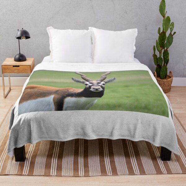 Item preview, Antelope designed and sold by Mdillon.