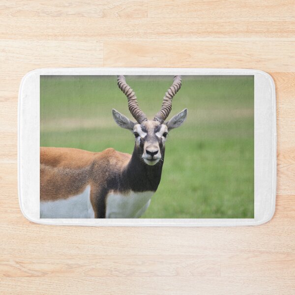 Item preview, Antelope designed and sold by Mdillon.