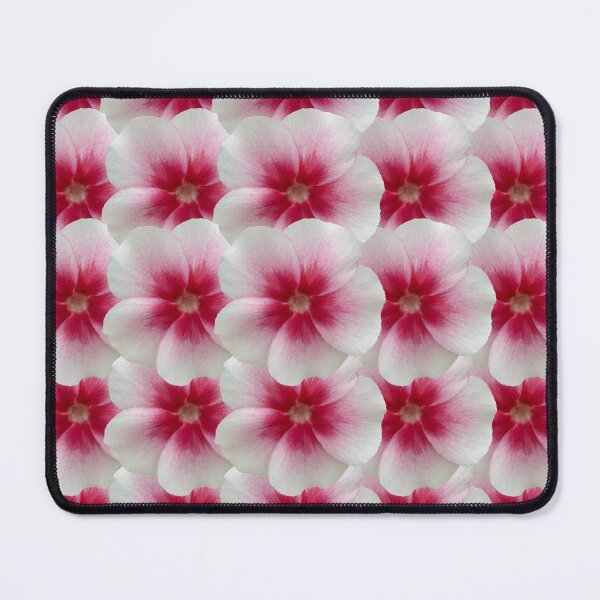 Item preview, White and Pink Phlox Flower Still Life Floral Photography designed and sold by CottoVerdi.