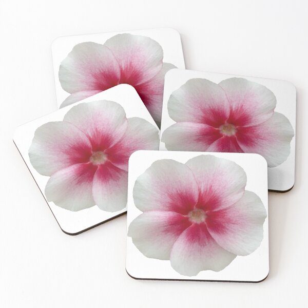 Item preview, White and Pink Phlox Flower Still Life Floral Photography designed and sold by CottoVerdi.
