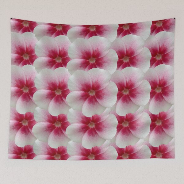 Item preview, White and Pink Phlox Flower Still Life Floral Photography designed and sold by CottoVerdi.