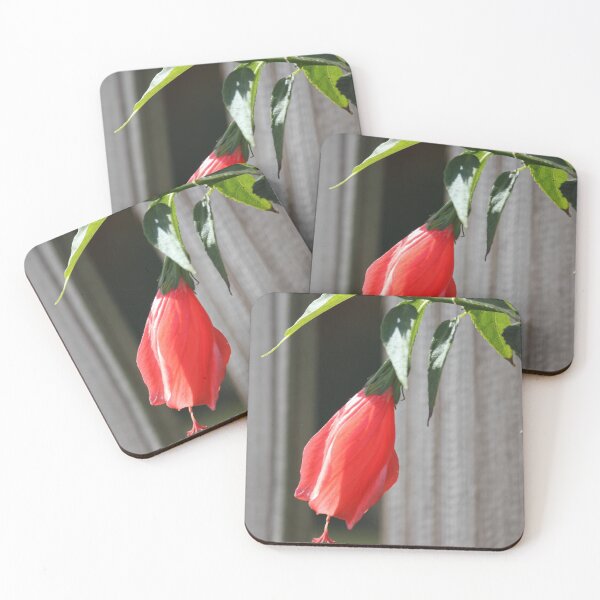 Item preview, Wax Mallow designed and sold by Mdillon.