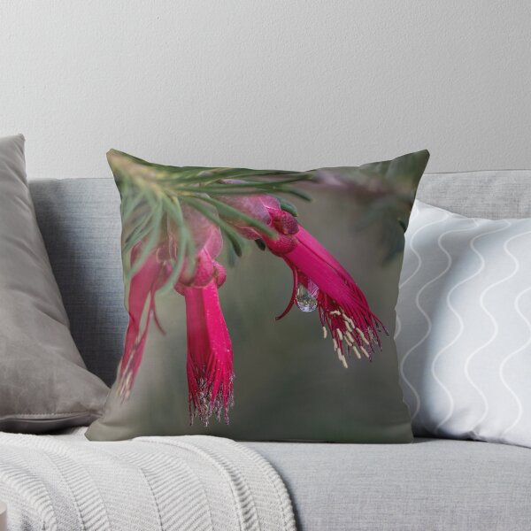 Item preview, Waterdrop on a Red Flower designed and sold by Pixie Copley LRPS.