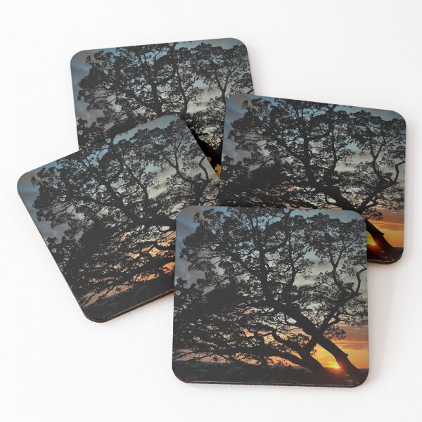 Item preview, Sunset Cedar Tree Silhouette  designed and sold by MailboxJim.