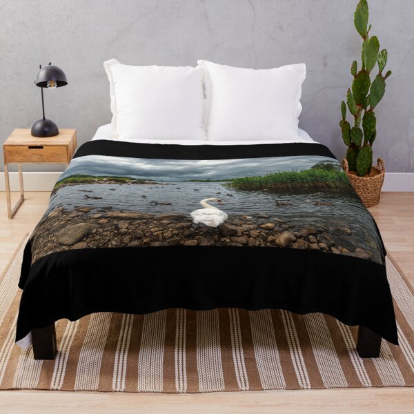 Item preview, Swan and ducks on the coast of Lough Leane in southwest Ireland’s County Kerry, Killarney designed and sold by AlbertMi.