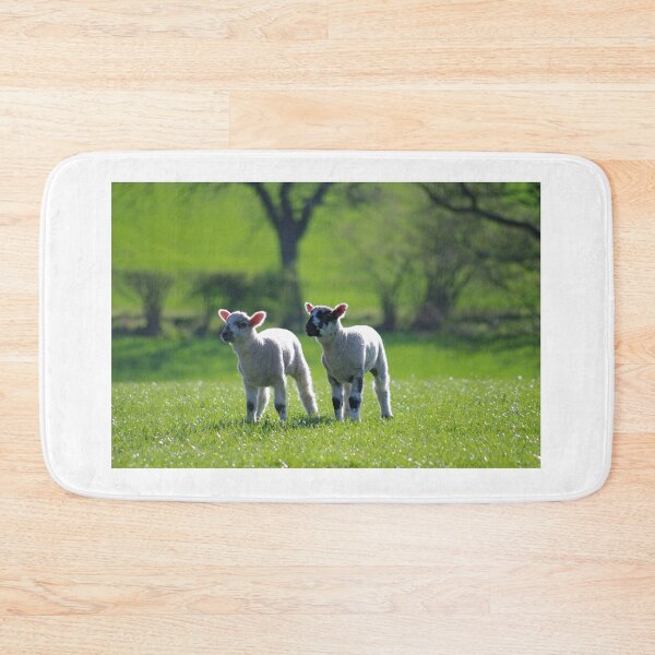 Item preview, Two lambs designed and sold by LindaCooke.