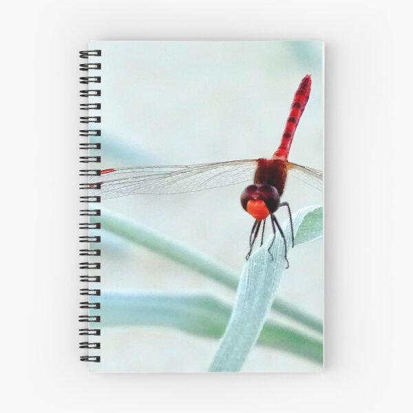 Item preview, Dragonfly designed and sold by Kat Rodgers.
