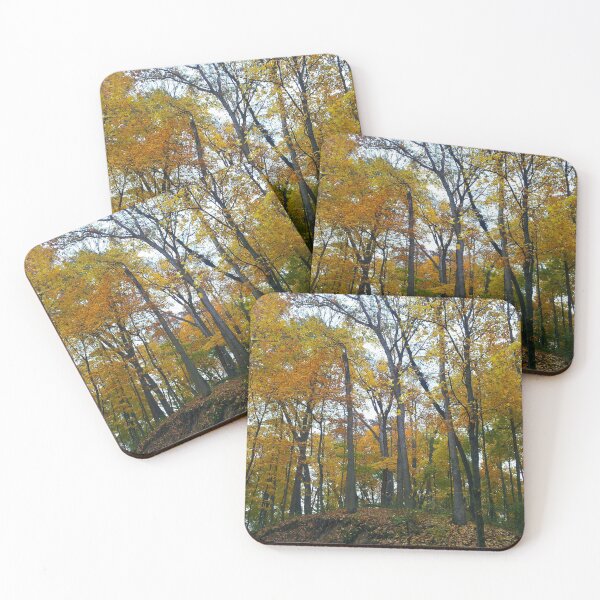 Item preview, Beautiful Fall Forest designed and sold by Hevanknows.