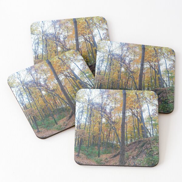 Item preview, Into the unknown Forest designed and sold by Hevanknows.