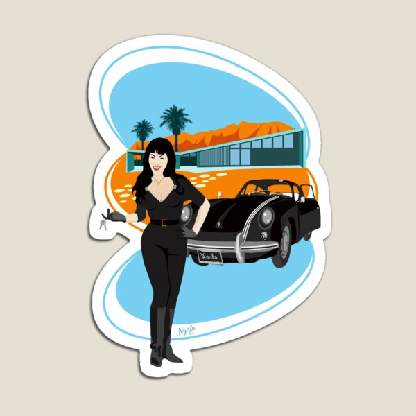 Palm Springs Welcomes Careful Drivers Magnet