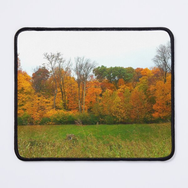 Item preview, Beautiful Fall Trees designed and sold by Hevanknows.