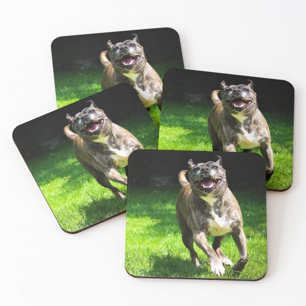 Item preview, Happy Staffy designed and sold by abphotography92.