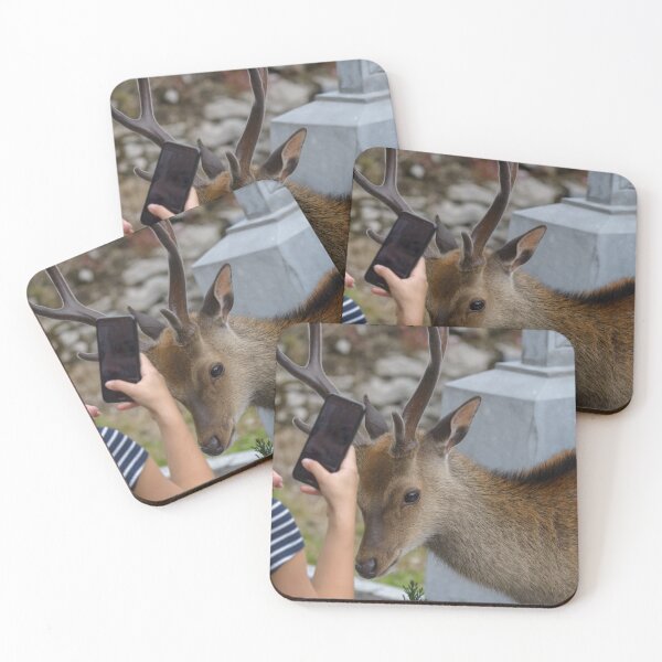 Item preview, The girl taking picture of friendly deer on the Irish Graveyard of Muckross Abbey in Killarney National Park, near the town of Killarney, County Kerry, Ireland designed and sold by AlbertMi.