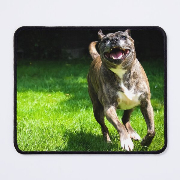 Item preview, Happy Staffy designed and sold by abphotography92.