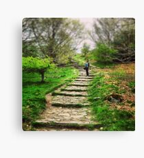 One step at a time Canvas Print