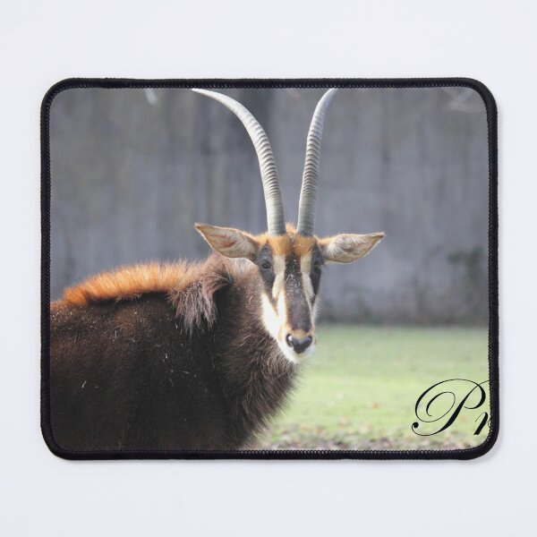 Item preview, Motivate, Motivational Pride- Sable Antelope designed and sold by Mdillon.