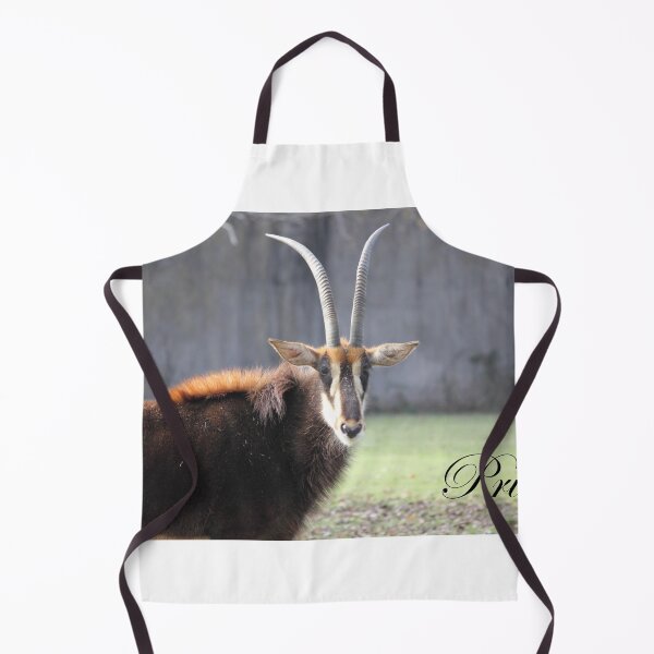 Item preview, Motivate, Motivational Pride- Sable Antelope designed and sold by Mdillon.