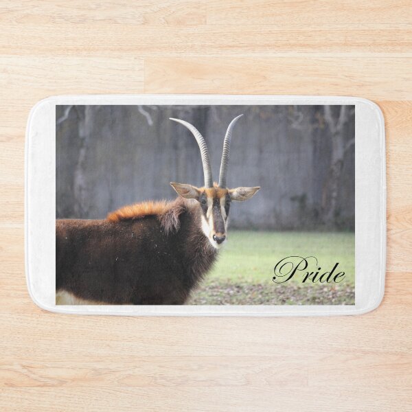 Item preview, Motivate, Motivational Pride- Sable Antelope designed and sold by Mdillon.