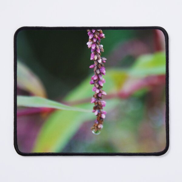 Item preview, Mystery designed and sold by AGODIPhoto.