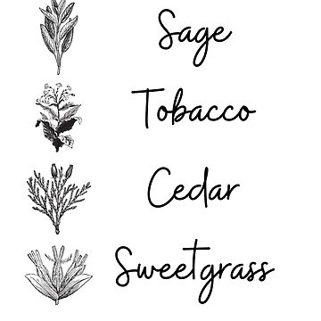 Free Vector | Sketch spices and herbs round concept