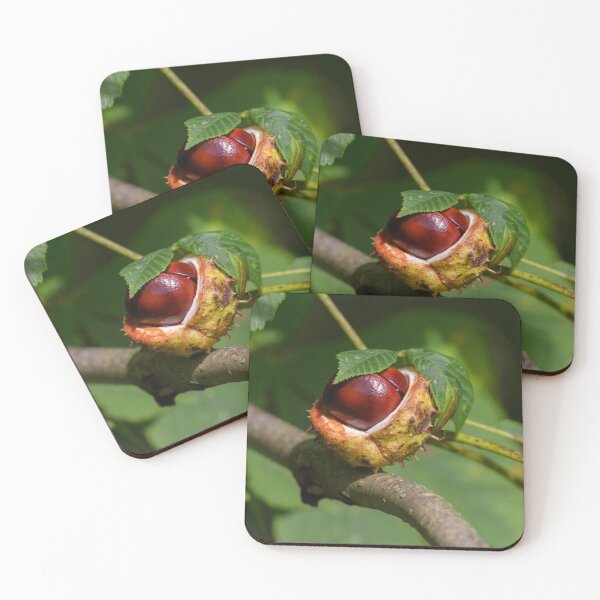 Item preview, Chestnut, conker in the autumn forest designed and sold by AlbertMi.