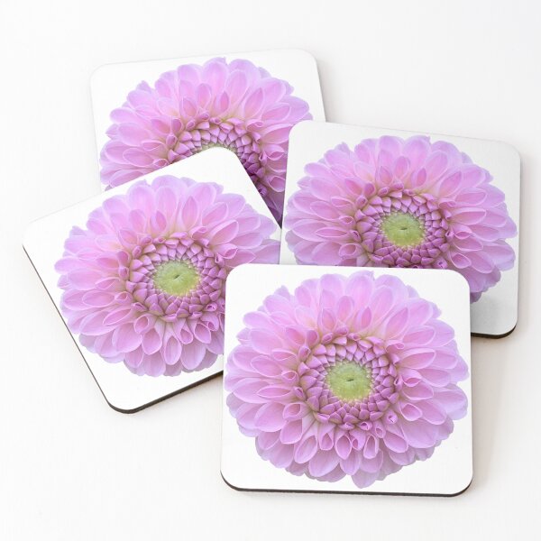 Item preview, Purple Dahlia Flower Still Life Floral Photography designed and sold by CottoVerdi.