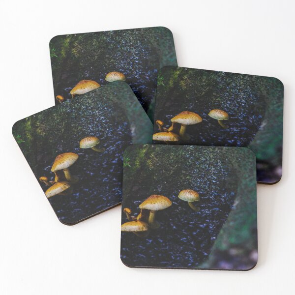 Item preview, Mushrooms growing on decaying log in Myakka River forest designed and sold by TrystaLC.