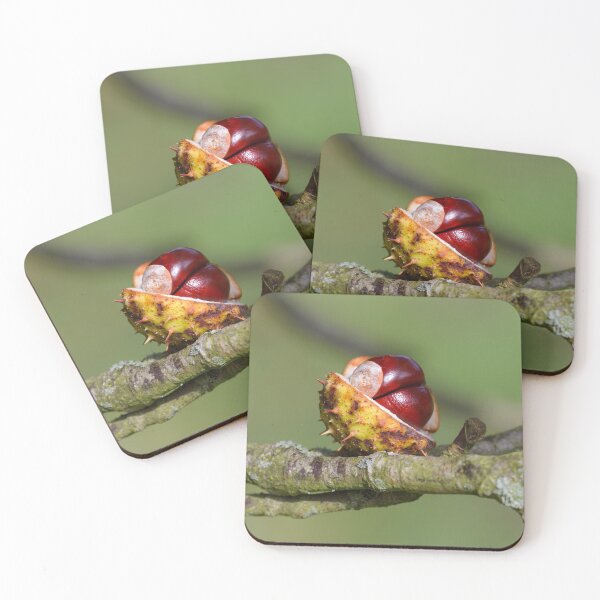 Item preview, Chestnut, conker in the autumn forest designed and sold by AlbertMi.