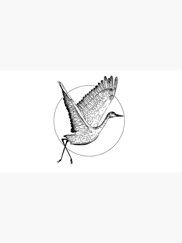 Crane Bird Cartoon Illustration. Red Cro Graphic by pch.vector · Creative  Fabrica