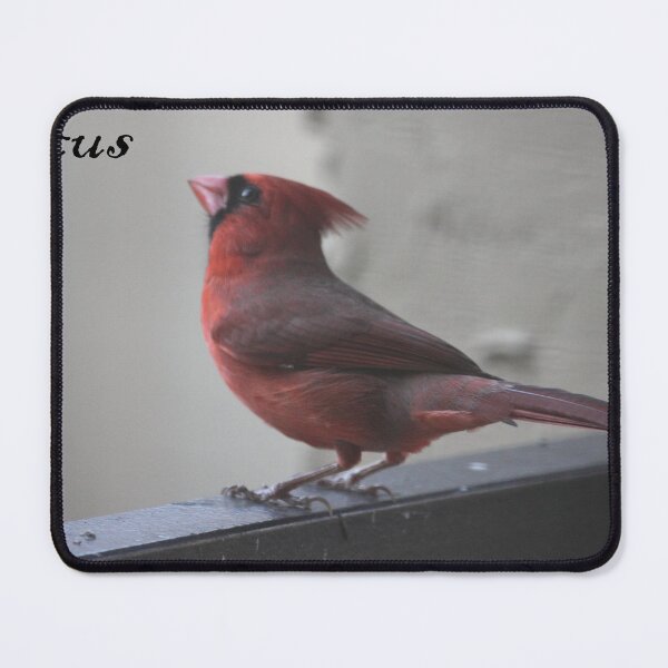 Item preview, Motivate, Motivational Focus- Red Cardinal designed and sold by Mdillon.