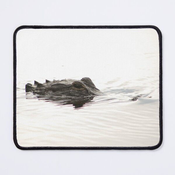 Item preview, Alligator swimming in the Myakka River in Sarasota, FL  designed and sold by TrystaLC.