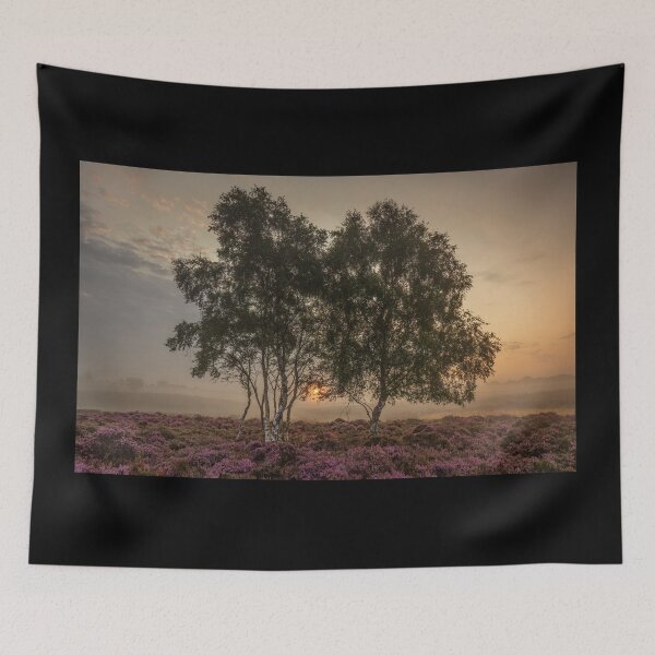 Item preview, Misty Sunrise on Westleton Heath Suffolk designed and sold by dp-images.