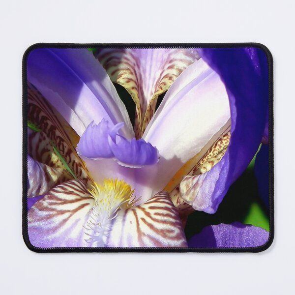 Item preview, Irises designed and sold by harietteh.