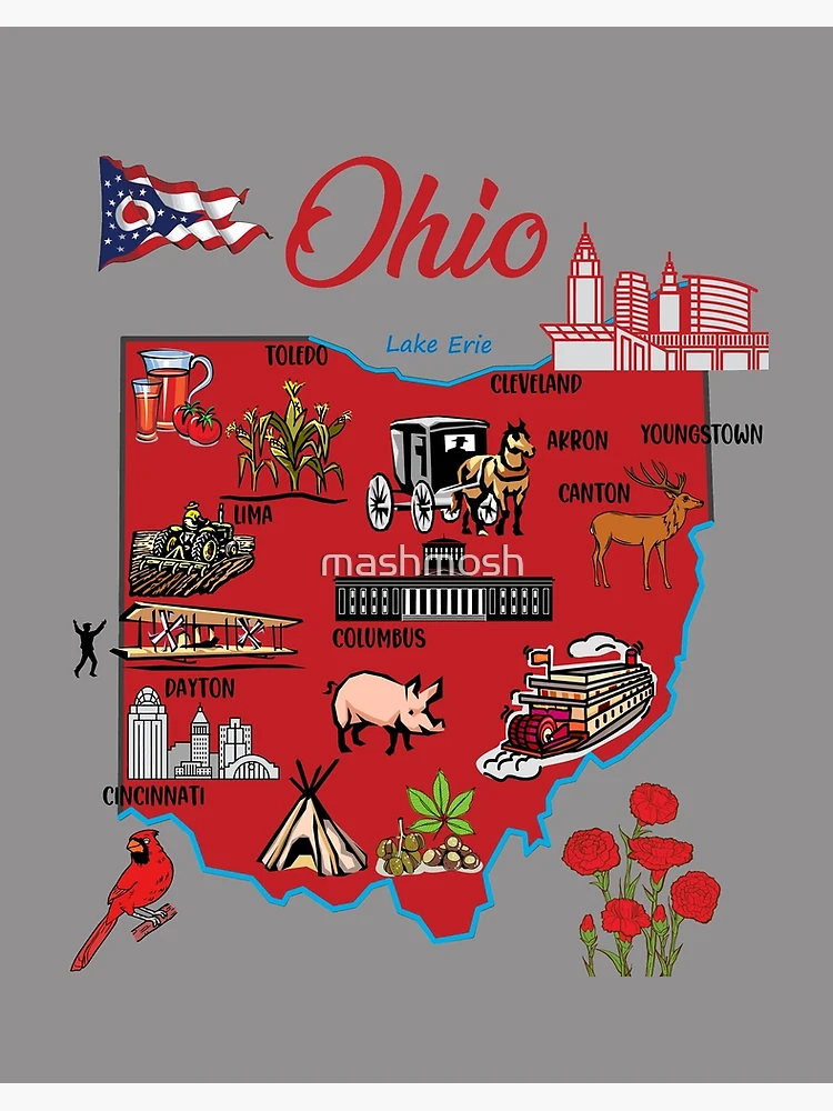 Ohio State Map With Text Of Constitution Coffee Mug by Design Turnpike -  Instaprints