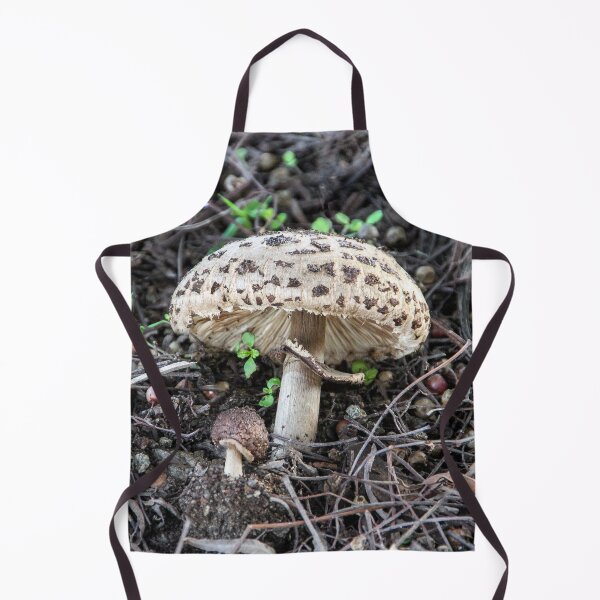 Item preview, Mama 'Shroom and Baby designed and sold by heatherfriedman.