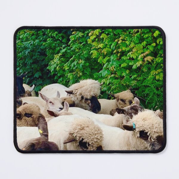 Item preview, Huddle of sheep  designed and sold by DesignedByEmma1.