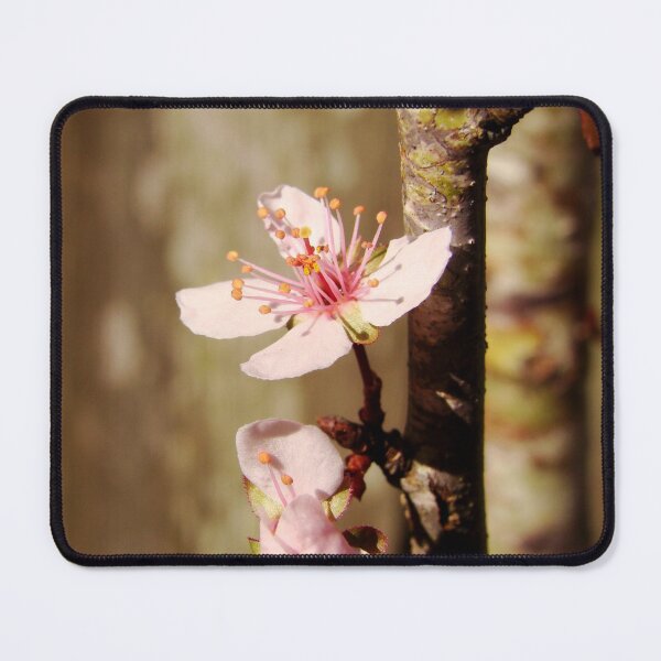 Item preview, Sun Worshipper designed and sold by AGODIPhoto.