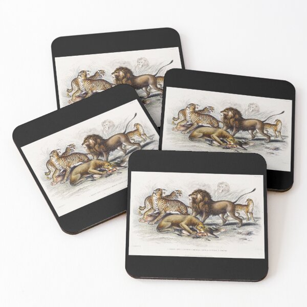 Item preview, Asiatic Lion, Lioness, Bengal Tiger, Leopard, and Jaguar from A history of the earth and animated na designed and sold by sweetleafvinyl.