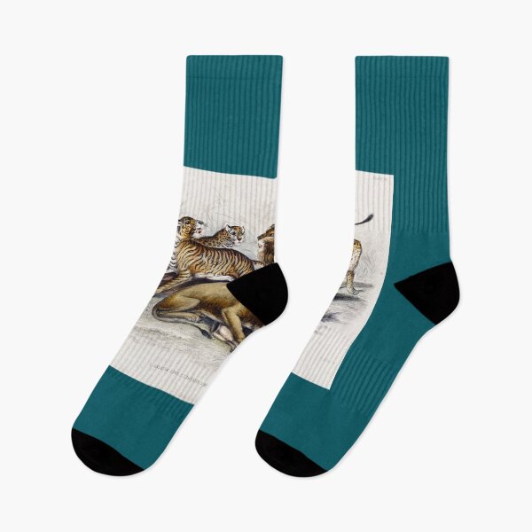 Item preview, Asiatic Lion, Lioness, Bengal Tiger, Leopard, and Jaguar from A history of the earth and animated na designed and sold by sweetleafvinyl.