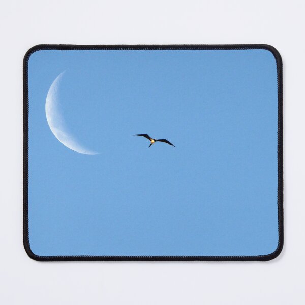 Item preview, Crescent moon and a seagull designed and sold by delcueto.
