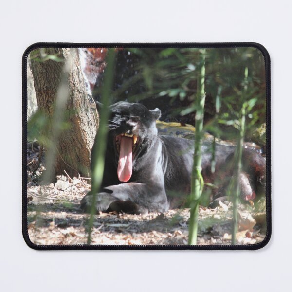 Item preview, Jaguar Black  designed and sold by Mdillon.