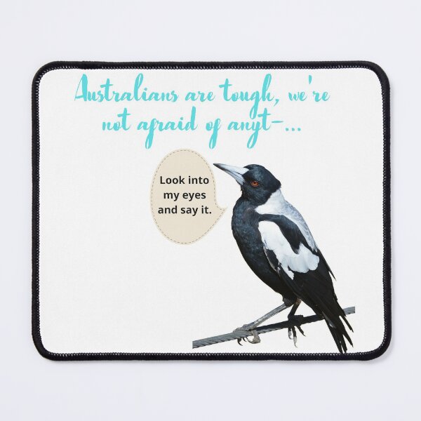 Item preview, Swooping season -Australian magpie designed and sold by BLOGGER-WRITER.